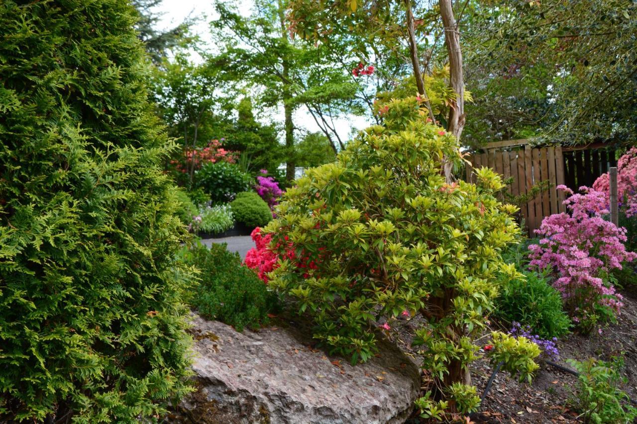 The Grove Lodge Guesthouse Killorglin Bagian luar foto