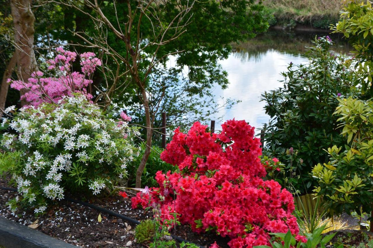 The Grove Lodge Guesthouse Killorglin Bagian luar foto