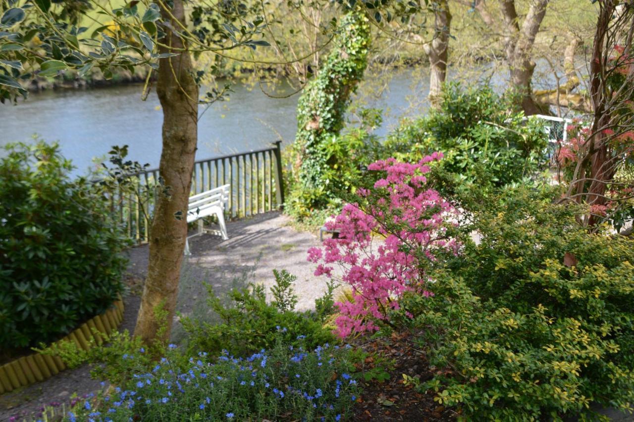 The Grove Lodge Guesthouse Killorglin Bagian luar foto