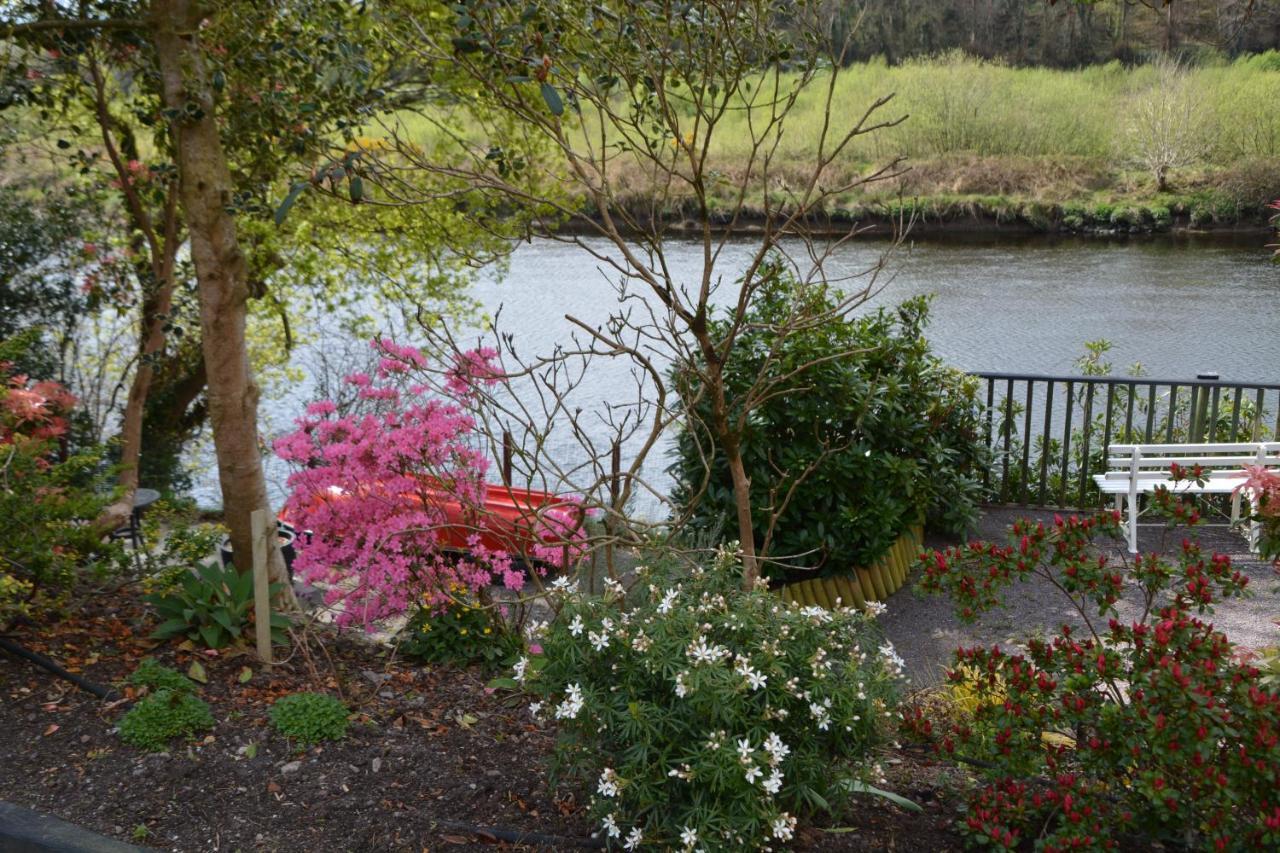 The Grove Lodge Guesthouse Killorglin Bagian luar foto
