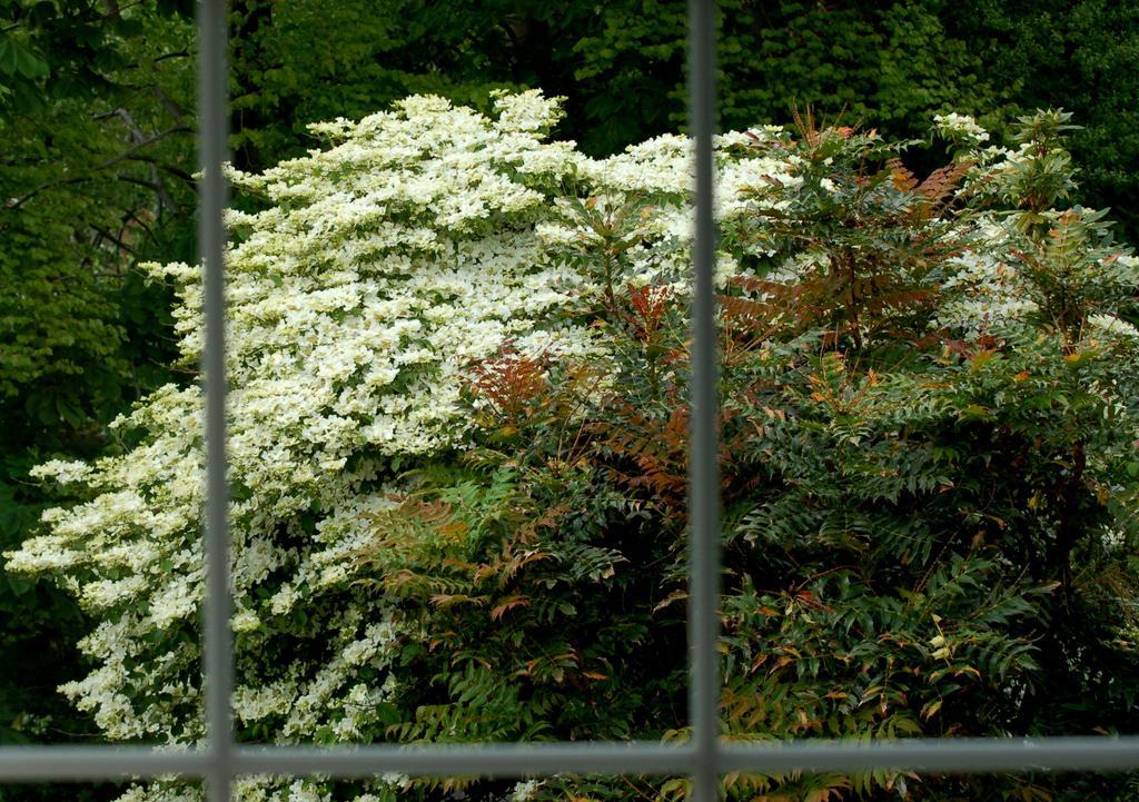The Grove Lodge Guesthouse Killorglin Bagian luar foto