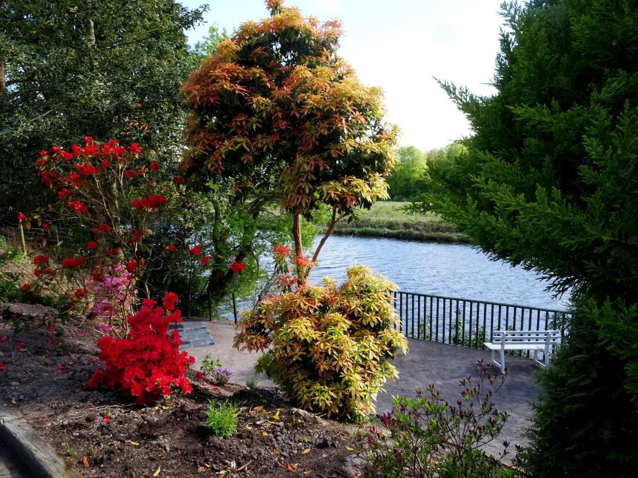 The Grove Lodge Guesthouse Killorglin Bagian luar foto