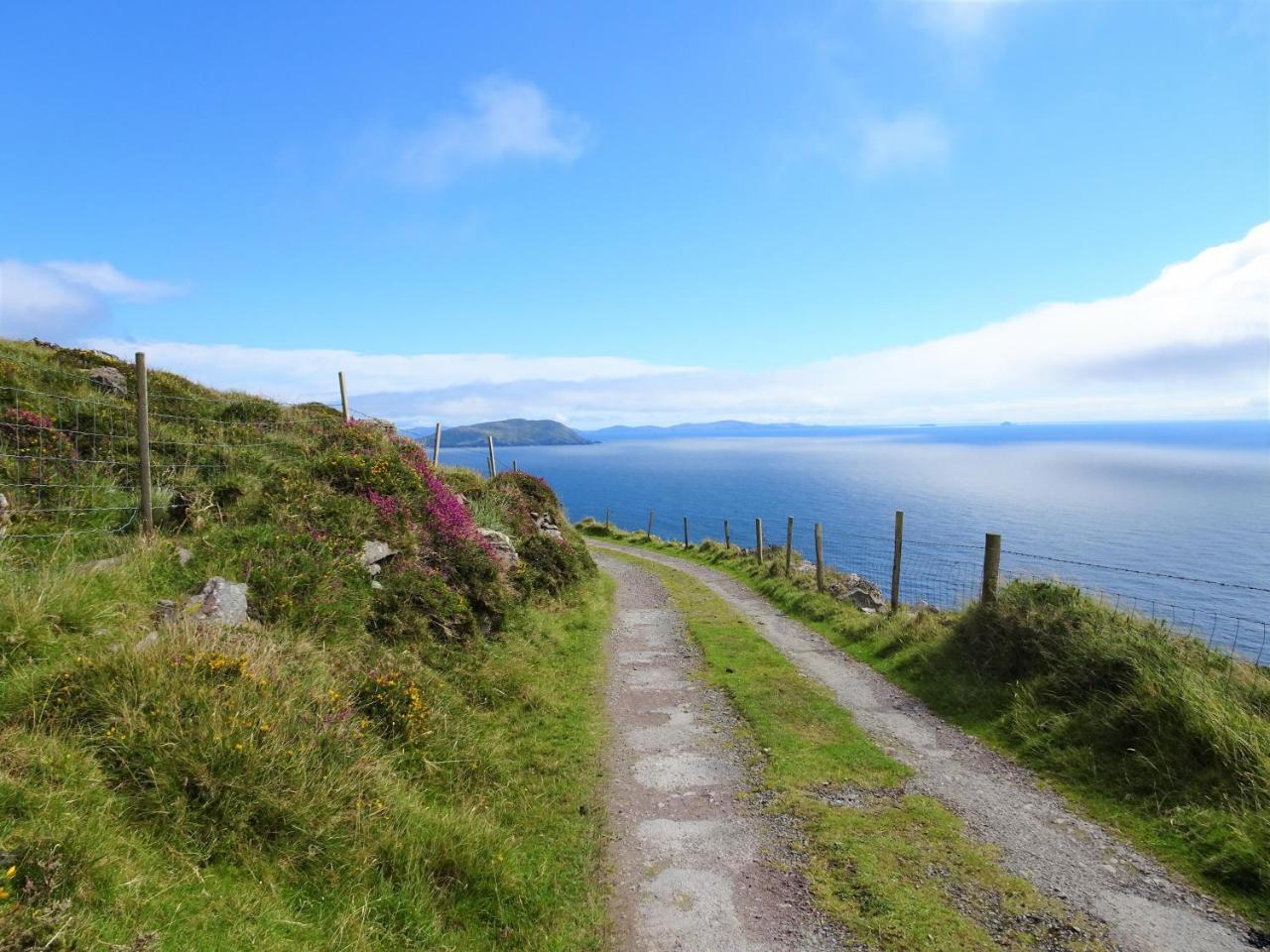 The Grove Lodge Guesthouse Killorglin Bagian luar foto